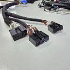 ENGINE LOOM for VL RB30 - HOLDCOM AUTO PARTS