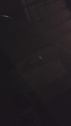 ANTI-THEFT SECURITY LED LIGHT