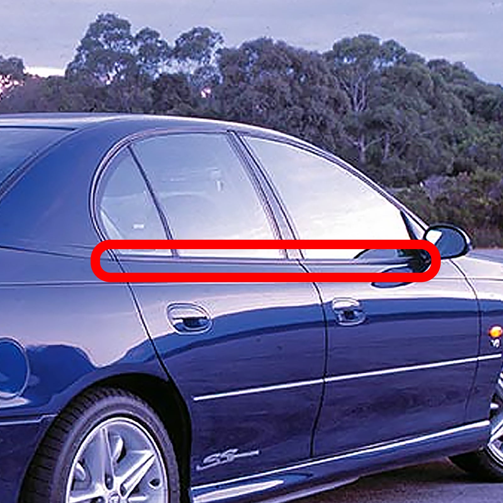 EXTERIOR DOOR BELT TRIM RUBBERS for VT VX VY VZ SEDAN